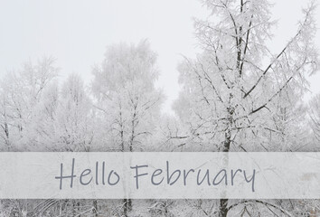 Hello February wallpaper, winter landscape in frozen forest. Winter background