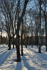 Snowdrifts among trees in a city park on a sunny evening in early spring. Winter park with bare trees and tree trunks .