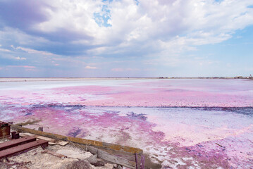 People gathering salt of pink salty Siwash Lake, colored by microalgae, famous for antioxidant...