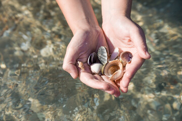 seashells and sand, seashells in hands on the background of the sea, family, father's and son's hands, child and parents on a trip, the ocean seashore.