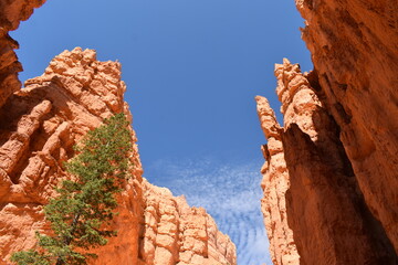 The blue sky in contrast with the orange sandstone of Bryce Canyon National Park in Utah.