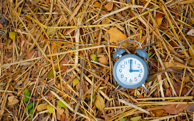 Antique style clocks set in outdoor locations.