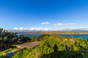 Fototapeta na wymiar View of Wellington landscape from Fort Dorset in New Zealand