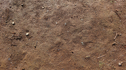 小石と小枝と下草のある赤土