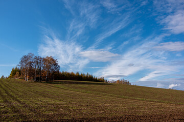Obraz premium 秋の剣淵町 紅葉した丘の風景