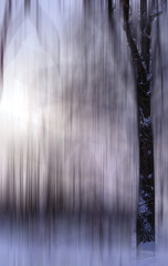 blurred view of bare trees near snow covered road 