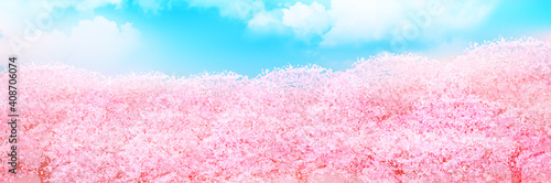 桜 春 花 背景 Wall Mural Wallpaper Murals Wallsheaven J Boy