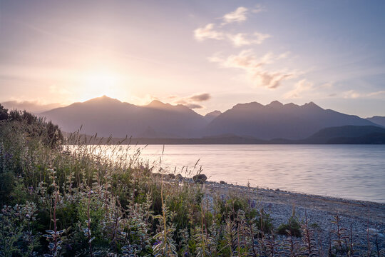 Beautiful sunset light behind the mountain in the distance and backlit flowers and grasses in the foreground on the shore at Lake Te Anau in Fiordland National Park, New Zealand, South Island.