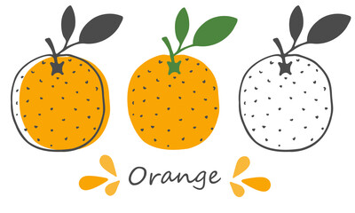 Vector set orange. Hand-drawn design. Fruits on white background