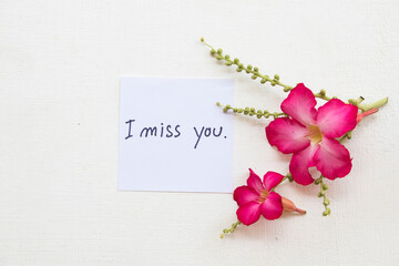 i miss you message card handwriting  with pink flowers decoration flat lay style on background white 