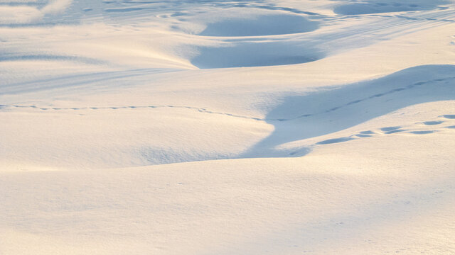 Shadows  and patterns  in  the snow