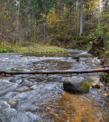 fast stream on small river in autumn.