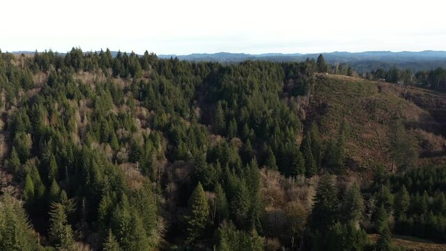 Aerial over dense coniferous forest mountains in Oregon