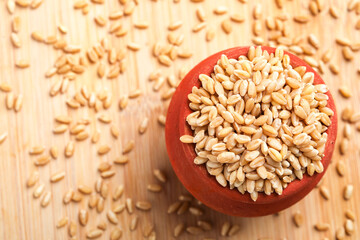 Wheat grains in clay pot on white background