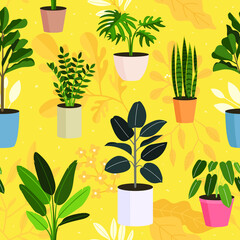 House Plants in Pots Seamless Pattern