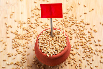 Wheat grains in clay pot on white background