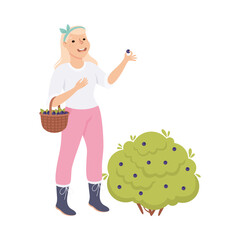 Woman Farmer or Agricultural Worker Gathering Blueberries in Wicker Basket Vector Illustration