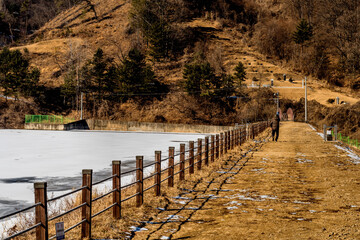 Person walking on snow covered path beside lake