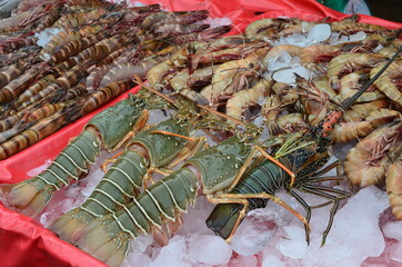 Freshly caught seafood at the fish market