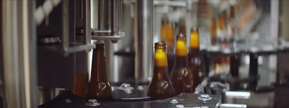 Beer bottles getting filled and capped on a modern machinery in a factory. Brown glass beer bottles moving on a machinery. Factory, brewery concept.