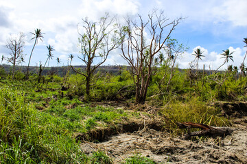 Vanuatu after cyclone Pam destruction