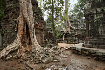 Angkor Wat Cambodaia
