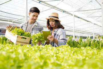 Hydroponics, two Asian farmers own a vegetable farm, use a tablet to monitor temperature control, and record leaf growth quality on the farm. Small business entrepreneurial concept