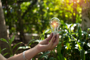Light bulbs that grow, in the concept of energy in nature.