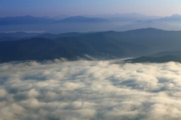 Fototapeta premium Sea of mist on morning light in northern Thailand
