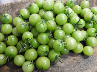 グリーントマト