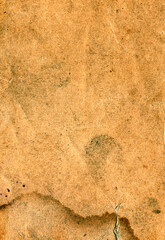Old Paper Texture