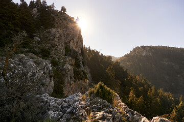 Yunquera pinsapar (abies pinsapo) in the Sierra de las Nieves national park in Malaga. Spain