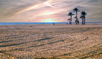 Beach with palm trees at sunset