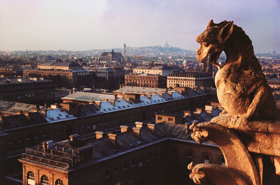 Gargoyle atop of a cathedral with city in the background, Notre Dame, Paris, Ile-de-France, France