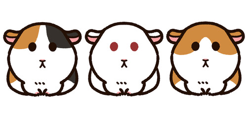 色々なモルモット　セット　正面