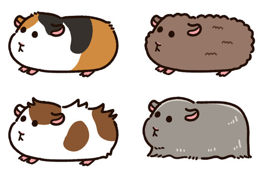a group of cute cartoon animals - sheltie guinea pig