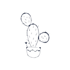 Cactus, succulent plant black outline hand drawn isolate on white background. Sketch, doodle cactus in a pot on a white background. Home plant, prickly cactus. Vector cactus coloring page illustration