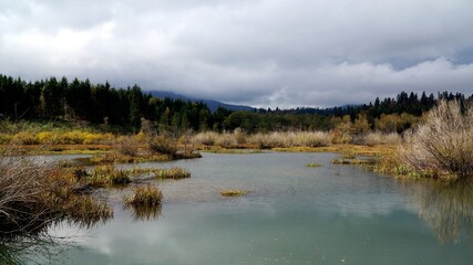 lake in the mountains, forest , lake, water , sky , landscape , nature ,travel , overcast , clouds , autumn , river 