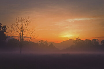 Fototapeta na wymiar morning landscape at countryside