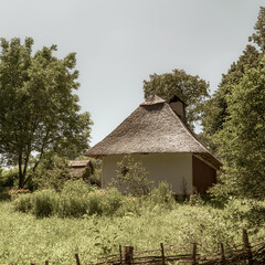 Old, medieval, traditional Ukrainian rural house with wicker hedge and garden with flowers.