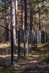 Fence in the forest. Iron fence in the park