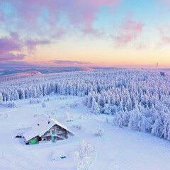 perfekter Winterwald zum Sonnenuntergang