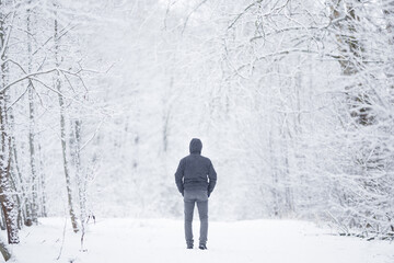 Young adult man slowly walking on snowy trail at natural park in white winter day after blizzard. Fresh snow. Spending time alone in nature. Peaceful atmosphere. Back view.