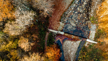 scissors cutting a tree