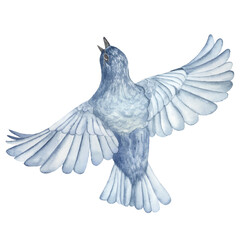 Watercolor bird in flight. Perfect for printing, web, textile design, various souvenirs and other creative ideas.