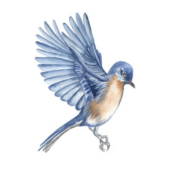 Watercolor blue bird. Perfect for printing, web, textile design, various souvenirs and other creative ideas.