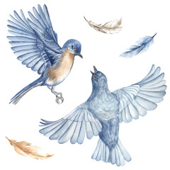 Watercolor blue birds in flight. Perfect for printing, web, textile design, various souvenirs and other creative ideas.