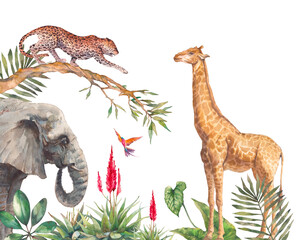 Fototapety  Safari wildlife wallpaper. Illustration with elephant, leopard and giraffe. Watercolor animal and jungle flora on white background.