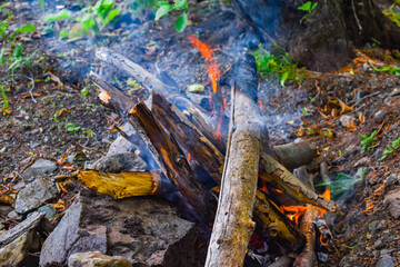 Bonfire in the forest. Burning wood. Blue smoke. Stones and fire.