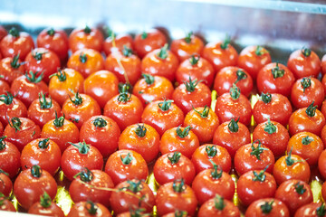 frische kleine Kirschtomaten Tomaten